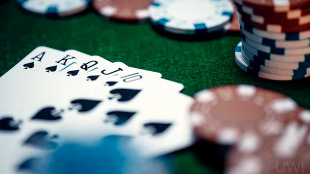Live Casino 4